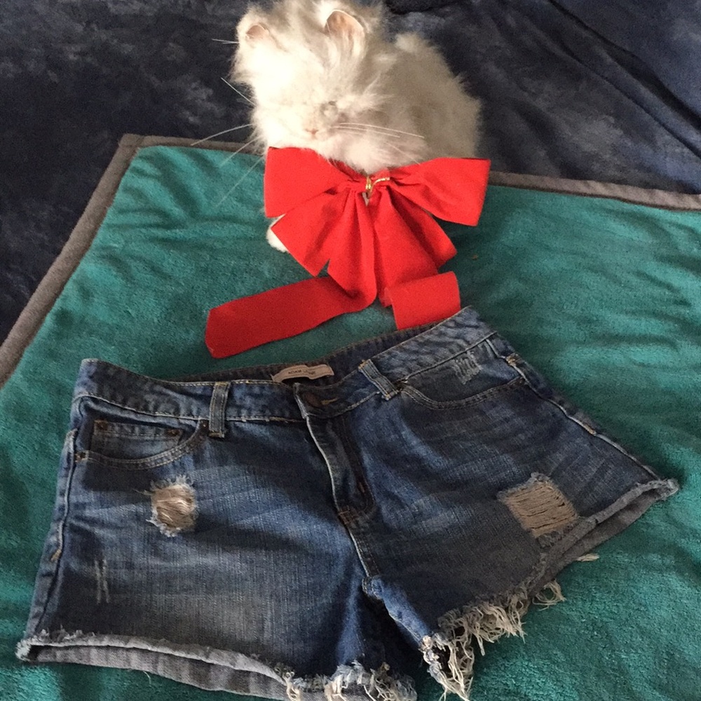 Adam Levine distressed shorts